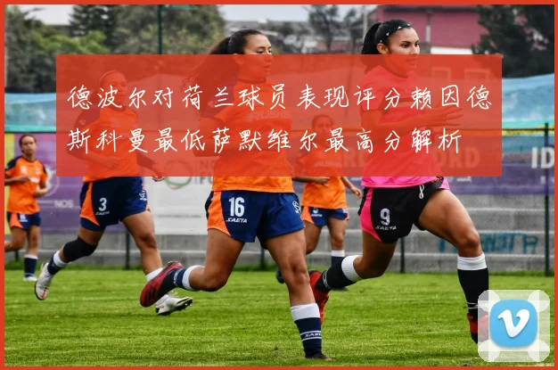 德波尔对荷兰球员表现评分赖因德斯科曼最低萨默维尔最高分解析